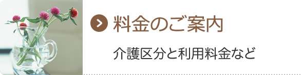 料金のご案内